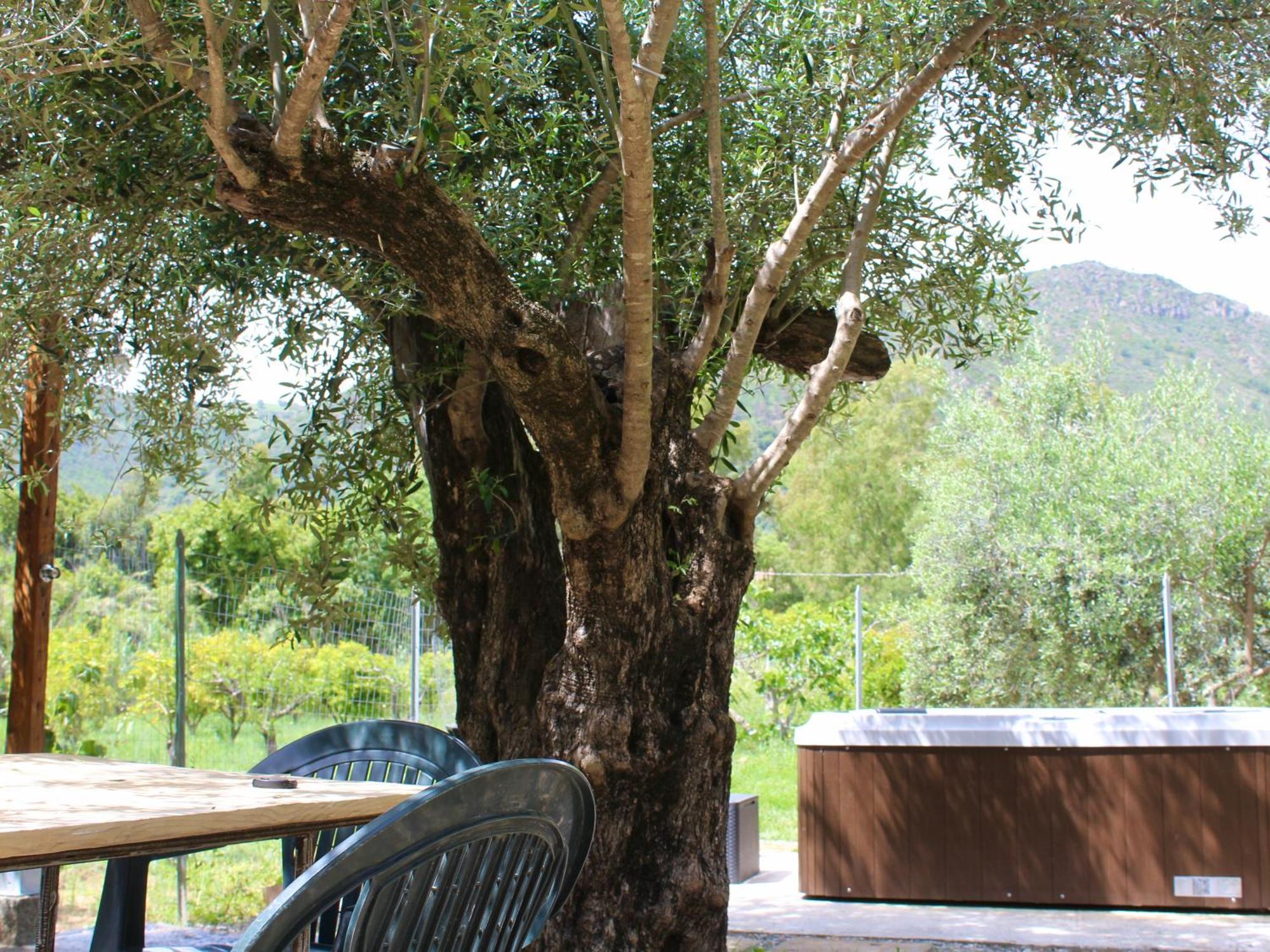 Villa Pelau - Holiday Home Jerzu Kültér fotó
