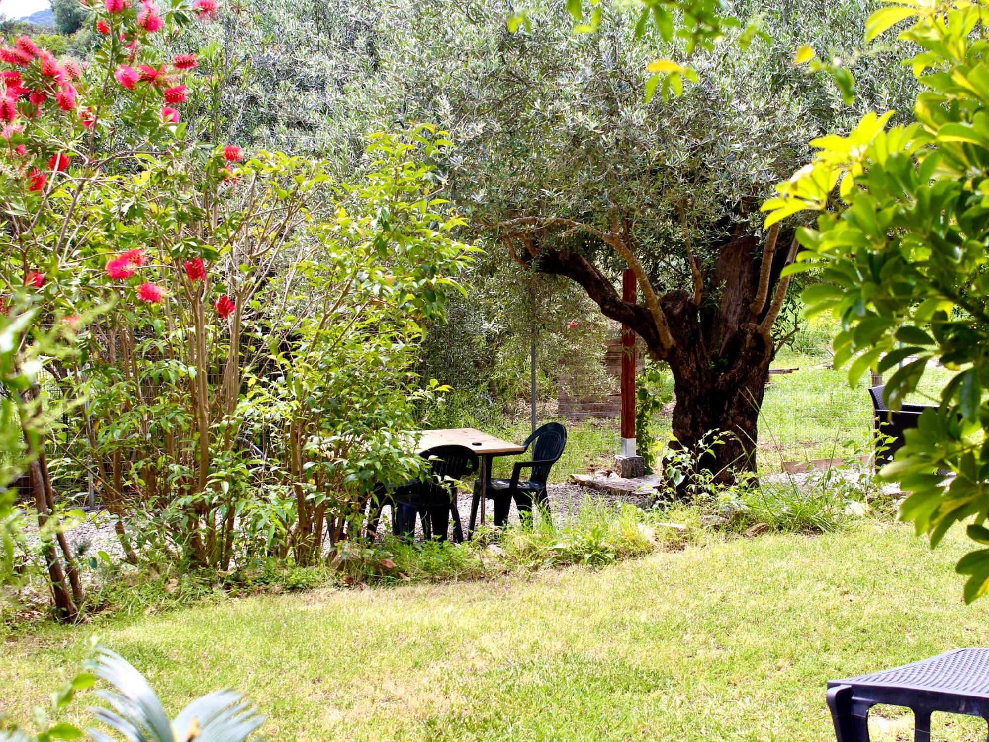 Villa Pelau - Holiday Home Jerzu Kültér fotó